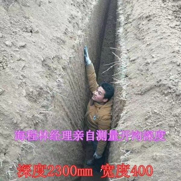 施工效果图